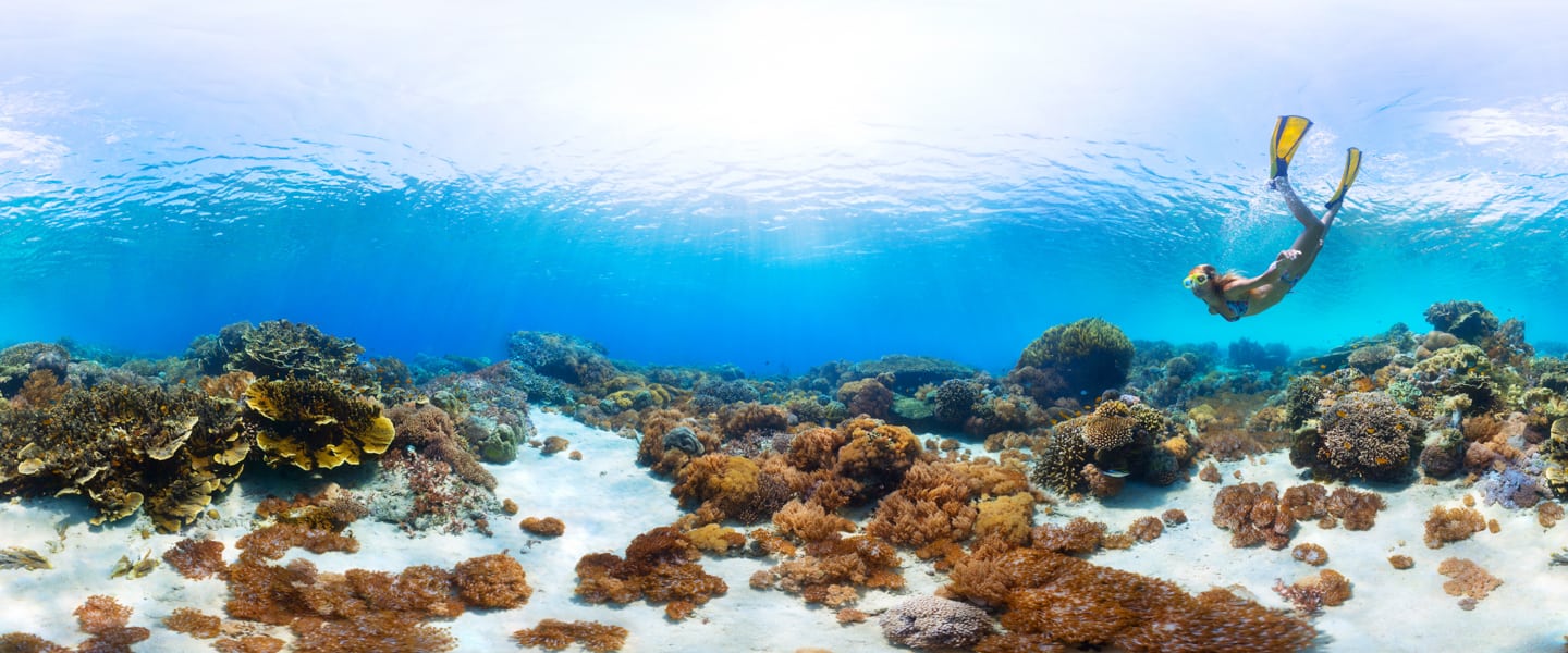 Photo of a fishless ocean that Maxime Photo and Video uses on our 360 video production page.